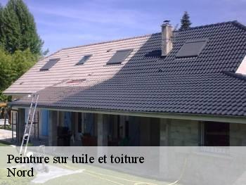 Peinture sur tuile et toiture Nord 