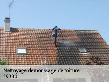 Nettoyage demoussage de toiture 59330