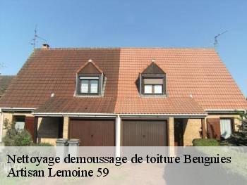 Nettoyage demoussage de toiture  beugnies-59216 Artisan Lemoine 59