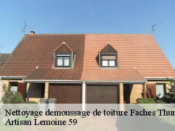 Nettoyage demoussage de toiture  faches-thumesnil-59155 Artisan Lemoine 59