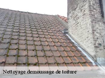 Nettoyage demoussage de toiture