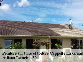 Peinture sur tuile et toiture  cappelle-la-grande-59180 Artisan Lemoine 59