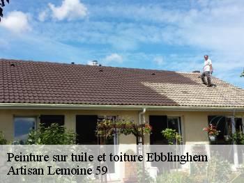 Peinture sur tuile et toiture  ebblinghem-59173 Artisan Lemoine 59