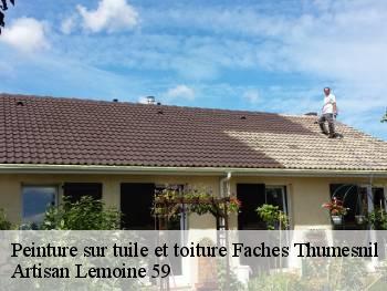 Peinture sur tuile et toiture  faches-thumesnil-59155 Artisan Lemoine 59