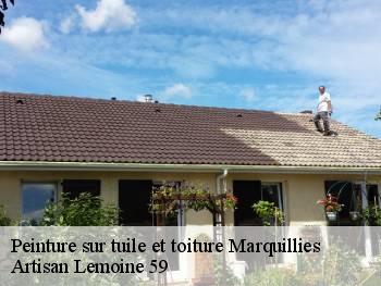 Peinture sur tuile et toiture marquillies-59274 Artisan Lemoine 59