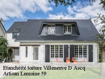 Etanchéité toiture  villeneuve-d-ascq-59491 Artisan Lemoine 59