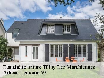 Etanchéité toiture  tilloy-lez-marchiennes-59870 Artisan Lemoine 59