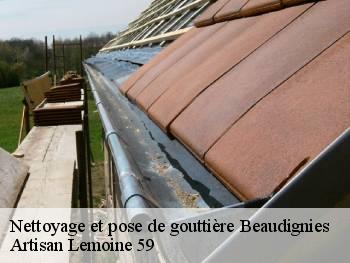 Nettoyage et pose de gouttière  beaudignies-59530 Artisan Lemoine 59