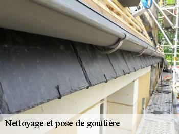 Nettoyage et pose de gouttière