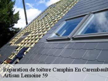 Réparation de toiture camphin-en-carembault-59133 Artisan Lemoine 59
