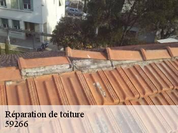 Réparation de toiture 59266